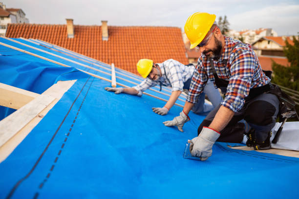 Best Roof Coating and Sealing  in Sheffield, OH